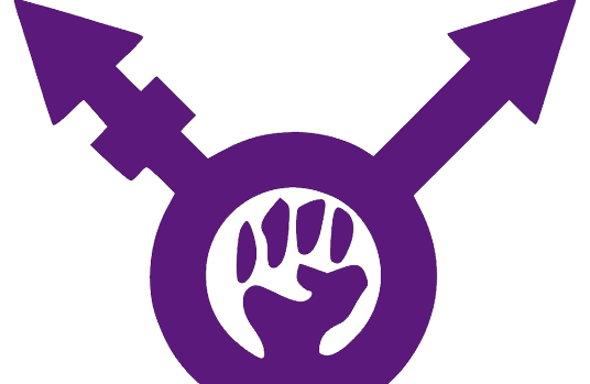 Uno de los símbolos del transfeminismo